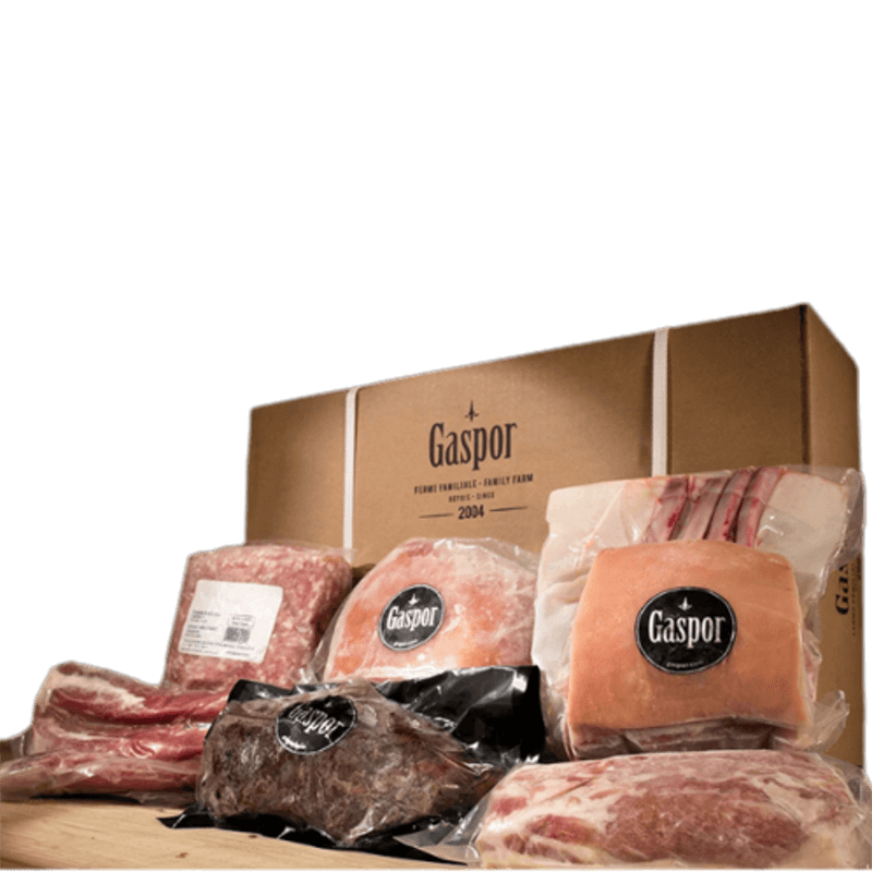 Boîte découverte Porcelet Gaspor Boîte découverte Porcelet Gaspor